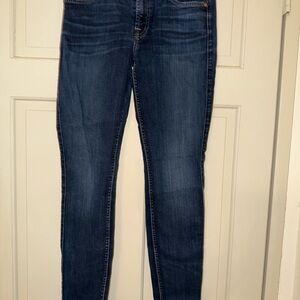 7 For All Mankind Dark Wash The Skinny